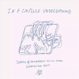 WAND IN A CAPSULE UNDERGROUND NEW LP