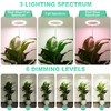 LORDEM 10" Grow Light for Indoor Plants, Full Spectrum Plant