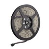 5M 5050 SMD 300 RGB LED Strips Light Lamp 12V