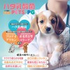 【愛するペットのための乳酸菌】ハタ乳酸菌 FOR PETS +PG 愛犬と愛猫の膝関節のサポートのため軟骨成分・プロテオグリカンと非変性Ⅱ型コラーゲンを配合した最強のサプリです。