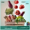 LUCERNA LED Downlight Recessed Ceiling – LED Interior Ceiling Spotlights
