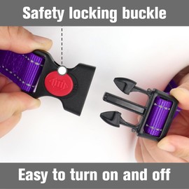 Joytale Martingale Collar for Dogs, Reflective Heavy Duty for Safety, Quick Release Buckle, Adjustable Nylon Collars for Large Dogs Walking Training, Purple,L