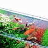Toddmomy Ceramic Floating Fish, 3pcs Aquarium Floating Goldfish Frog Koi