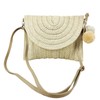 MUNSKT Straw Beach Handbag Small Boho Bag Women Beach Bag
