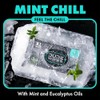 DUDE Wipes Mint Chill Extra-Large Flushable Wipes - 3 Pack