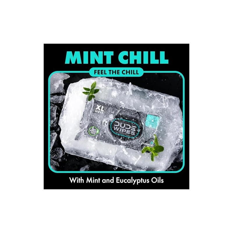 DUDE Wipes Mint Chill Extra-Large Flushable Wipes - 3 Pack