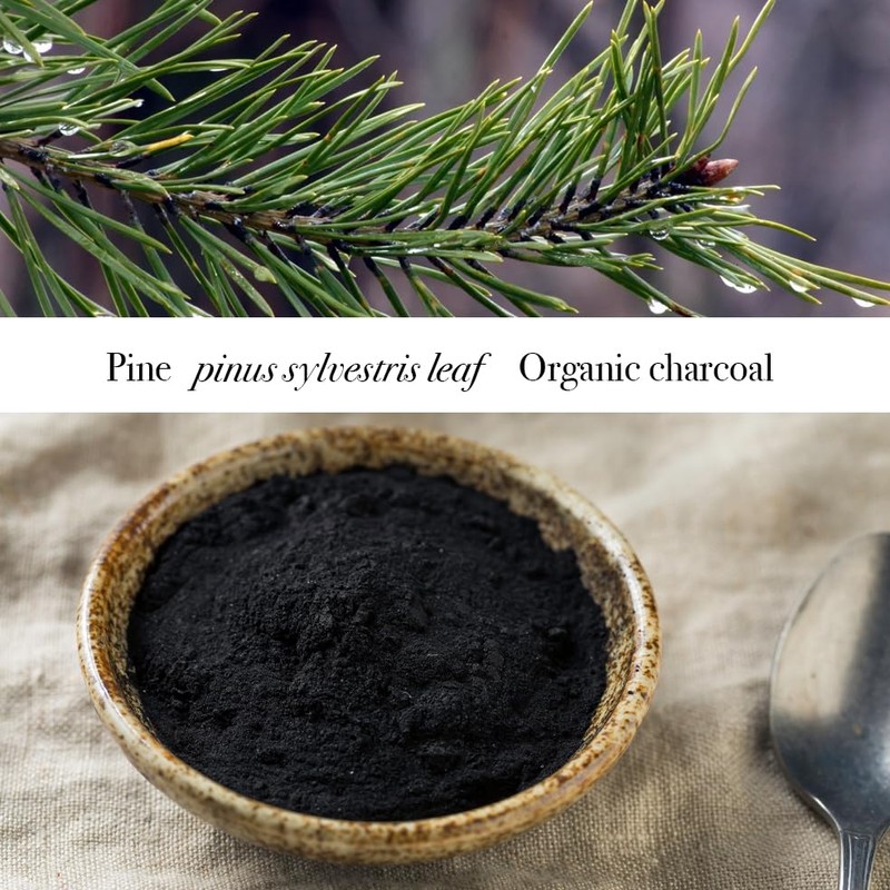 Castello de Haye, Activated Charcoal Soap Bar - Pine Essential
