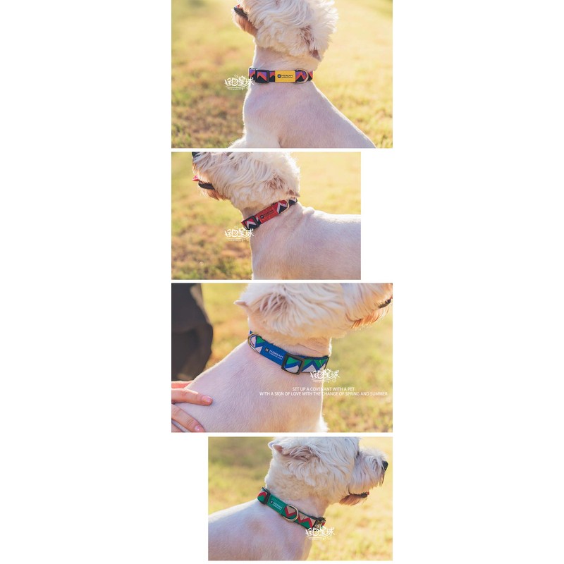 [DB] Dog Collar, Nylon Collar, Dog Training Collar, Adjustable, Small,
