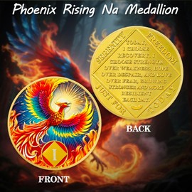 ACGZQY 1 Year Na Medallion – Rebirth Phoenix Sobriety Chip AA NA Coins and Medallions Upon Awakening Recovery Addiction Sober Token Affirmation Narcotics Anonymous Gifts