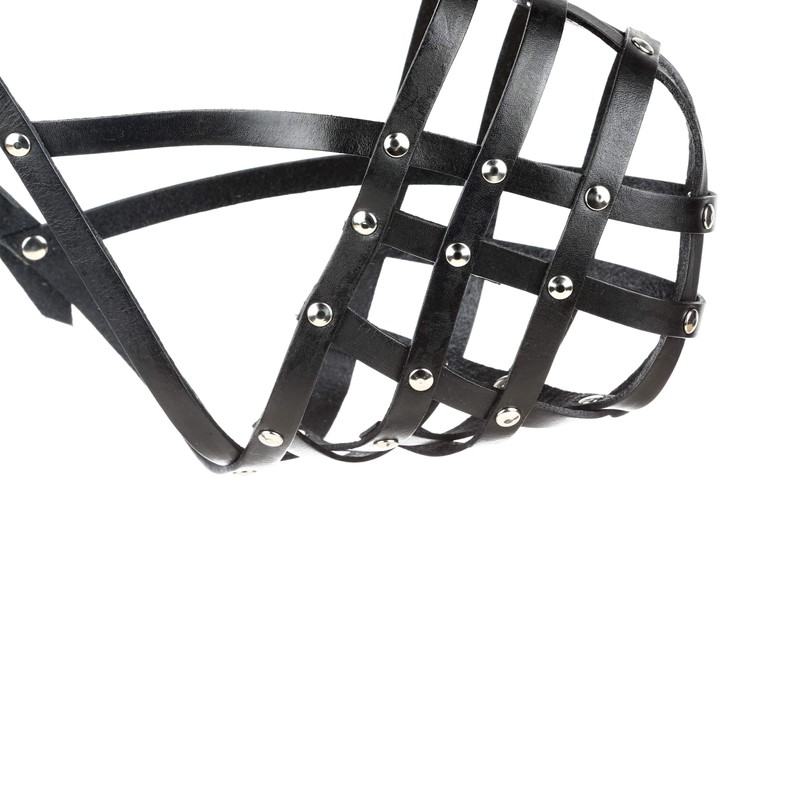 Julius-K9 Muzzle, Light, Black