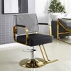 2Pcs Salon Chair Cover Protectors,Clear Hairdressing Chair Back Covers