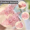 CABODYALS 2 Pairs 4Pcs Pink Floral Embroidery Applique Beaded 3D