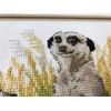 Riolis 1761 - Meerkats - Cross Stitch Kit 9¾" x