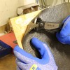 S&R Carpenter's Pincers 200 mm - Sharp Cutting Edges 70C