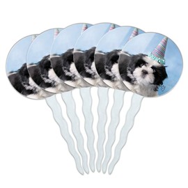 Shih Tzu Dog Birthday Party Hat Cupcake Picks Toppers Decoration Set of 6