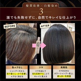 Kyogoku Color Shampoo, White Hair Dye Compatible, Gradual Dyeing, Gray Hair, Brown, Salon Shampoo, Kyogoku, Brown Hair, Bleached Hair, Damage Repair, Exclusive Salon Product, kg (Ash Black)