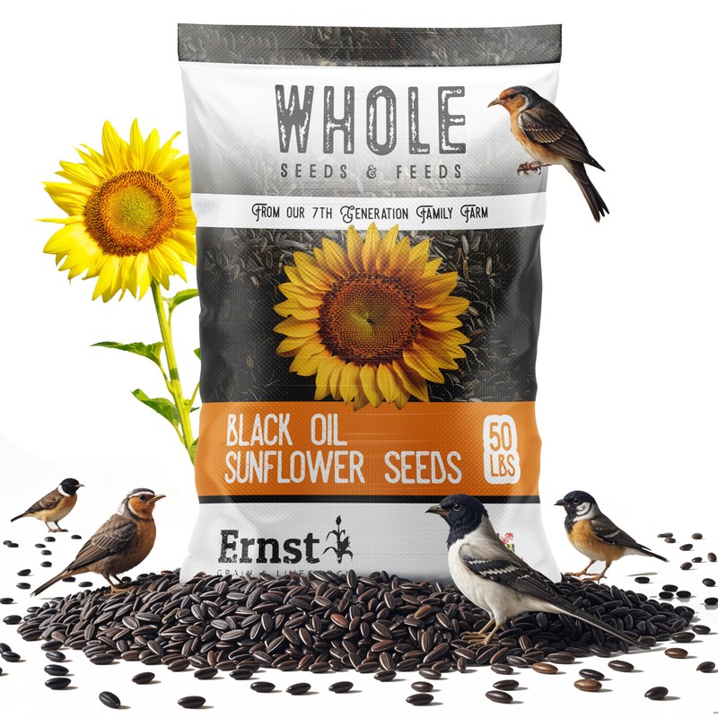 Ernst Grain & Livestock Black Oil Sunflower Seeds - Birdseed