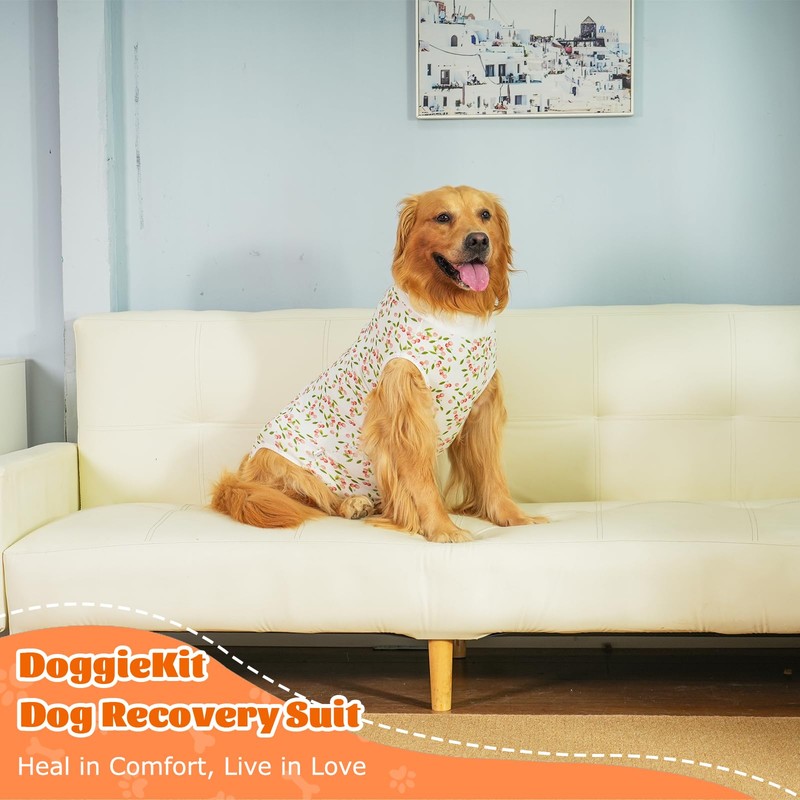 DoggieKit Dog Surgery Recovery Suit, Anti-Licking Postoperative Shirt for Female