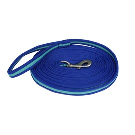 Rhinegold Carnival Bright Lunge Rein-Royal/Turq