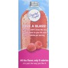 Crystal Light On The Go Raspberry Ice Drink Mix, 0.6