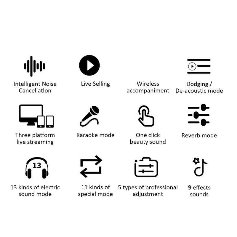 Portable Voice Changer Bluetooth 5.3 Multifunctional Effects Handheld Mini Live