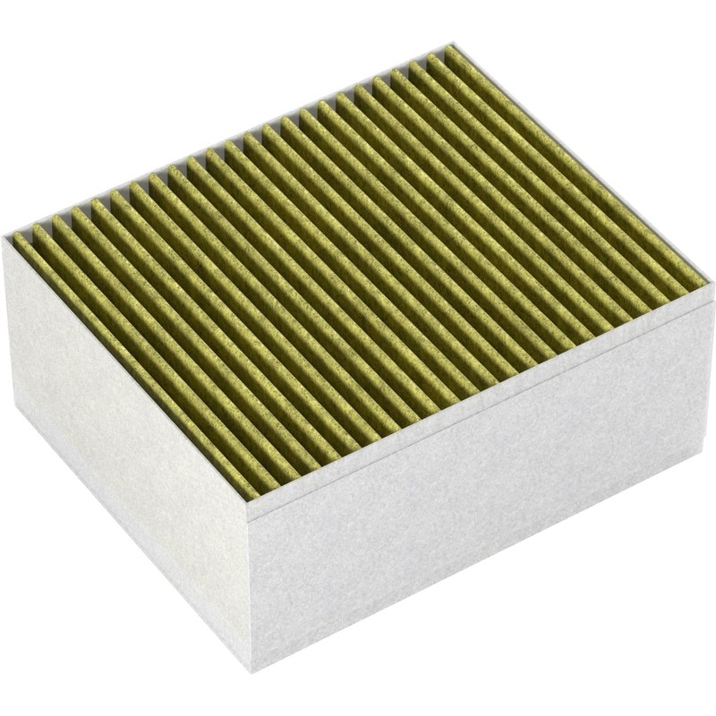 Clean Air Plus Activated Carbon Filter (Replacement)