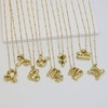 Zodiac Signs Spirit Necklace For Women, 18k Gold Plated Bubble