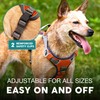 Embark dog harness, adjustable size, without choke, large, Orange