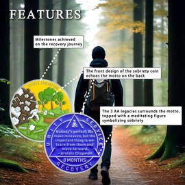 8 Month Sobriety Coin Sobriety Chips AA Chip AA Coins Sober Token Recovery Medallion NA Chips NA Coins from 1 to 12 Months Plastic case Included-Baking Paint Process