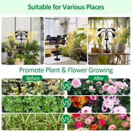 YIKEDAN LED Grow Lights for Indoor Plants, 200 LEDs Full Spectrum Tabletop Plant Grow Light with 4 Replaceable Bulbs, Grow Lamp with 360° Gooseneck, Indoor Plant Lights for Growth in Winter