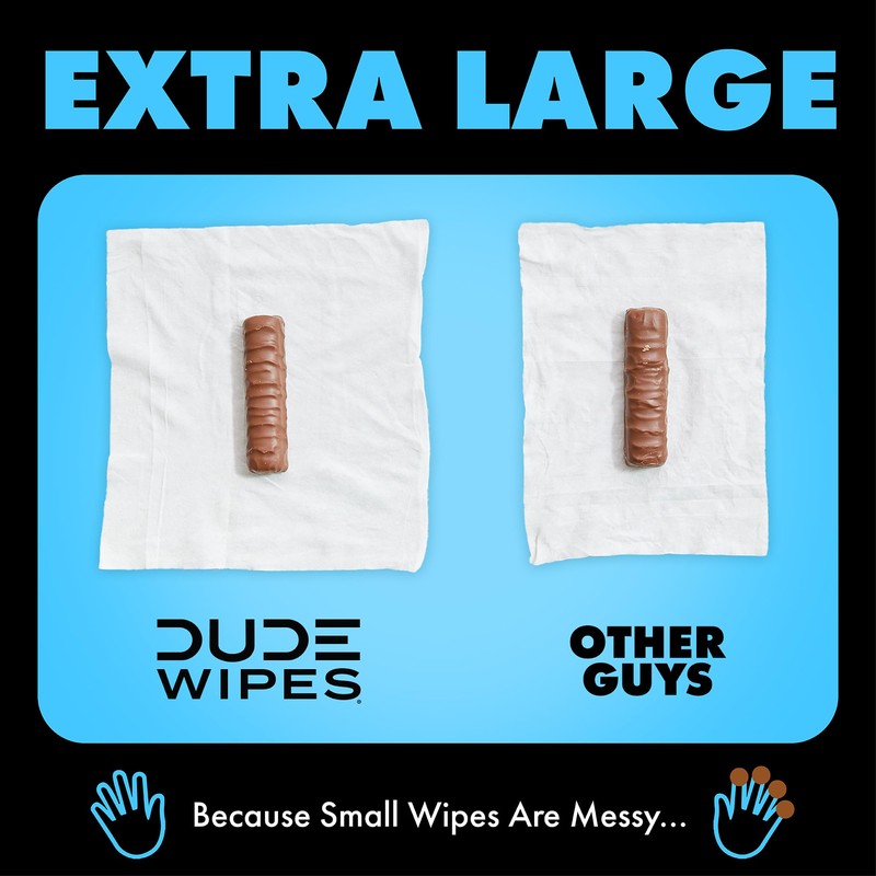 DUDE Wipes - Flushable Wipes - 8-Pack, 384 Count -