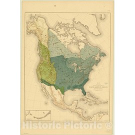 Historic Pictoric Map : North America Forest Trees 1884 6, Sixteen maps accompanying Report on Forest Trees of North America, Antique Vintage Reproduction : 16in x 24in