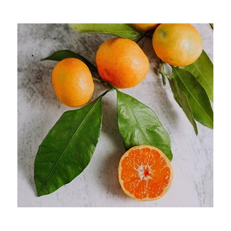Naturewell Nature Well Crema Humectante Iluminadora Con Vitamina C