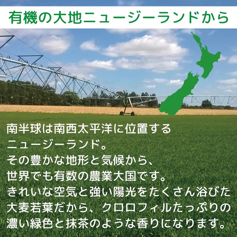 Soki New Zealand Barley Young Leaves 3.2 oz (90 g)