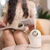 Humidifier Aroma Diffuser USB Power Supply 300ml Capacity Auto Shutdown