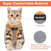 FAYOGOO Cat Harness and Lead Set, Cat Harness for Walking