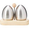 Premier Housewares Salt And Pepper Pots Condiment Set Salt And