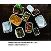 Fuji Horo KE-DM LW Deep Storage Container, Medium, 4.3 gal