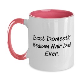 Epic Domestic Medium Hair Cat Two Tone 11oz Mug, Best Domestic Medium, Present For Cat Lovers, Motivational Gifts From Friends, Domestic medium hair cat present gift ideas, Unique domestic medium hair