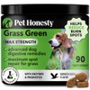 Grass Green Max Strength Burn Spot Chews for Dogs -