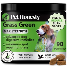 Grass Green Max Strength Burn Spot Chews for Dogs - Premium Formula - Dog Pee Lawn Spot Saver Supplement Caused by Dog Urine, Supports Healthy Digestion w/Probiotics + DL-Methionine - 90ct
