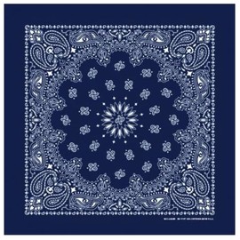 Hav-A-Hank Navy Paisley Bandanna, 22x22, Made in USA, Blue