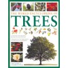 The World of Encyclopedia of Trees