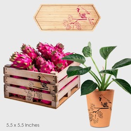 Cardinal on Pine Branch Stencil – Reusable 5x5 Inch Winter Bird Template with Pinecones for DIY Crafts, Rustic Holiday Decor, and Nature-Inspired Art