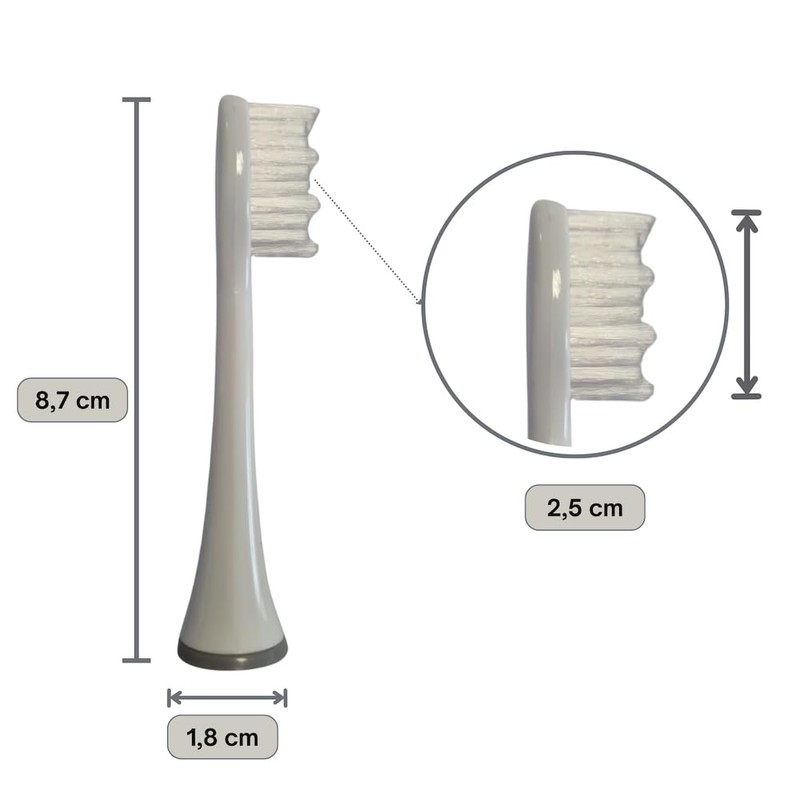 ProfiCare ZS for PC-DC 3031 Replacement Brushes and Nozzles Pack