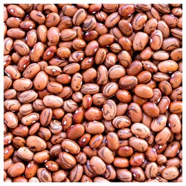 Everwilde Farms - 1 Lb Pinto Dry Bean Seeds - Gold Vault
