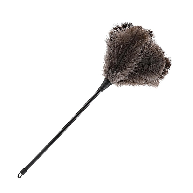 Reusable Handheld Ostrich Feathers Duster, Small Feathers Dusters for Cleaning,