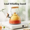 ROCKURWOK Tea Kettle, Tea Pot with Cool Touch Ergonomic Handle,