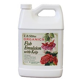 Organic Fish Emulsion with Kelp, one Gallon Size