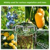 eupdd 36 Pieces Fruit Tree Branch Separators: M8+M10+M13 Branch Puller,
